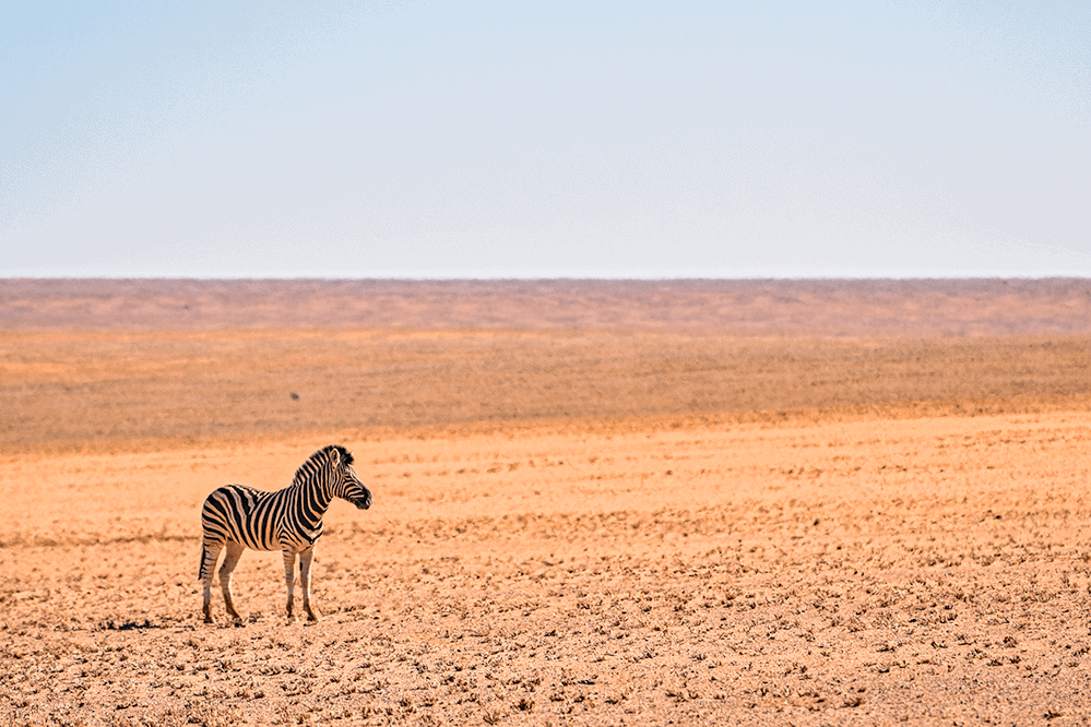 D707, la strada verso il deserto in Namibia