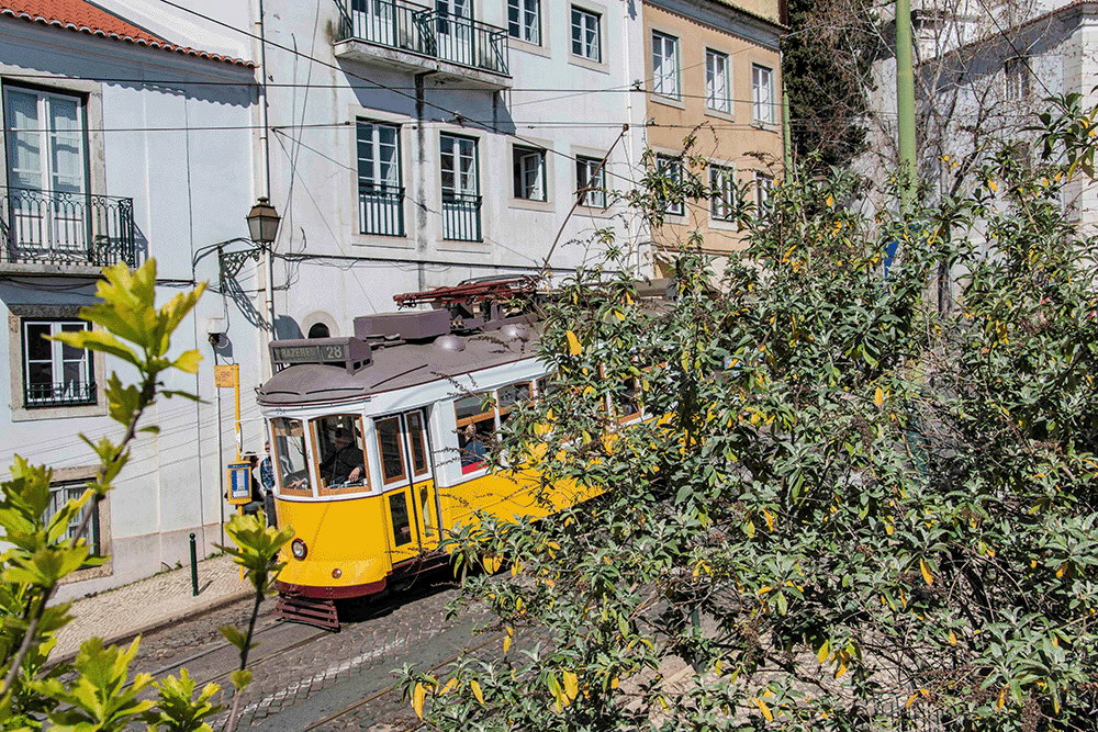 Lisbona023