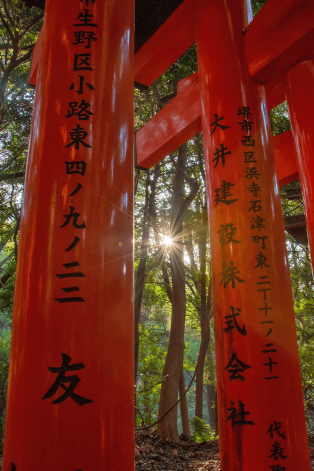Cosa vedere a Kyoto : il Fushimi Inari Taisha