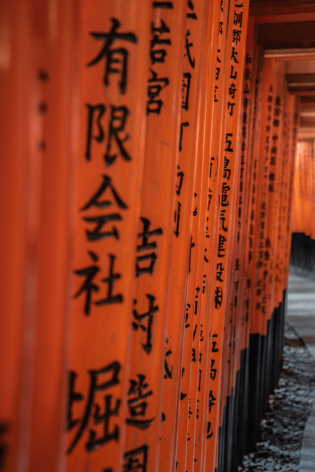 I torii del Fushimi Inari Taisha