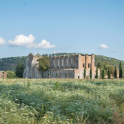 Abbazia di San Galgano nei dintorni di Siena